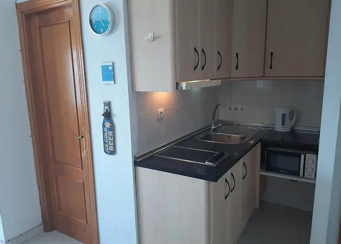 Apartment Playa Torecilla Beachfront Nerja